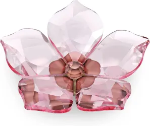 SWAROVSKI