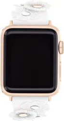 COACH 14700054 Quartz Ladies Watch