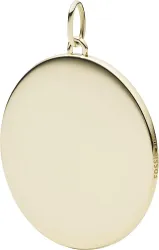 FOSSIL JF03475710  Ladies Necklace