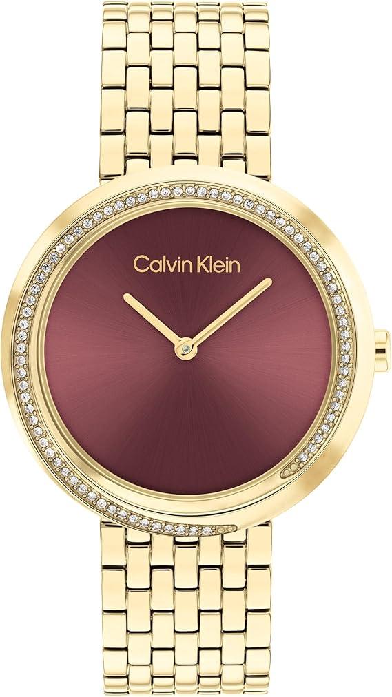 Calvin Klein 25100069 QUARTZ Ladies Watch