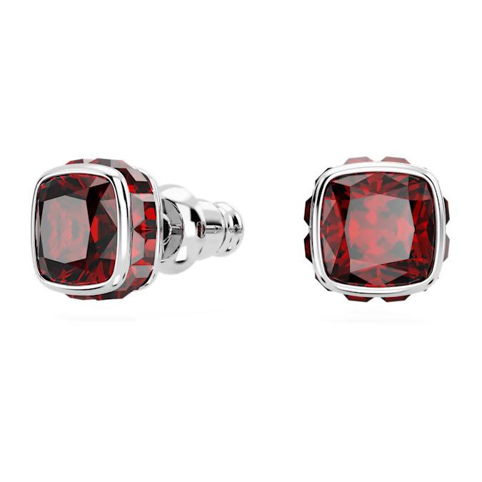SWAROVSKI 5660798  Ladies accessory