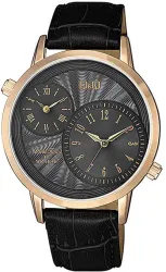 Q&Q QZ22J105Y Quartz Men Watch