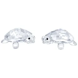 SWAROVSKI 5394564  Ladies accessory