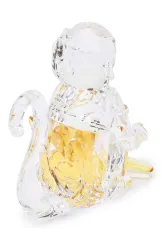 SWAROVSKI 5524239   accessory