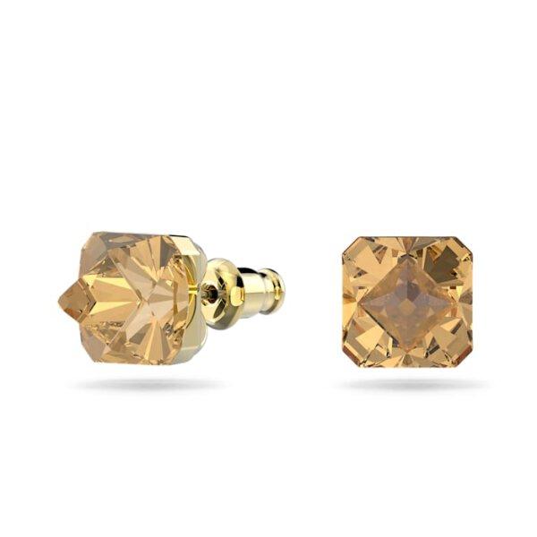 5613680 Ladies accessory