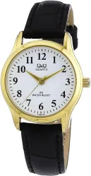 Q&Q C169J104Y Quartz Men Watch