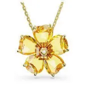 SWAROVSKI 5650570  Ladies accessory